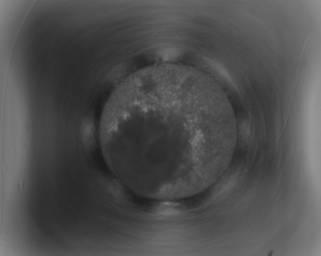 X0000101670222200807171343