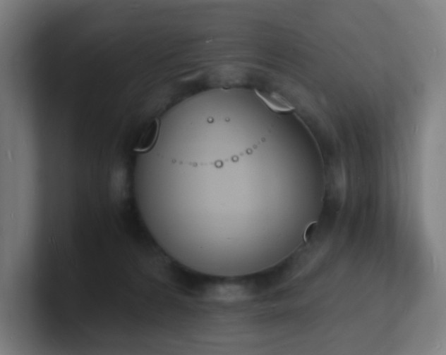 X0000101670224200807171343