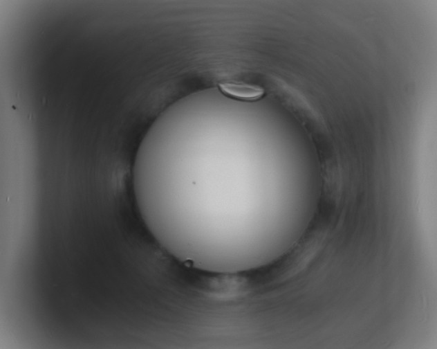 X0000101670225200807171343