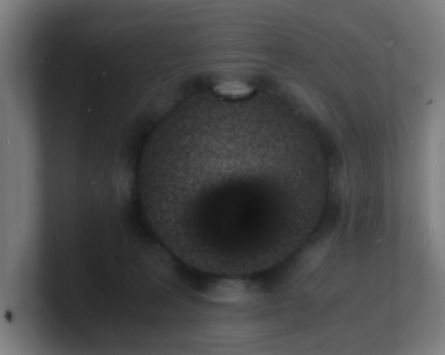 X0000101670227200807171342
