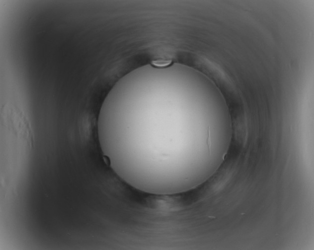 X0000101670229200807171342