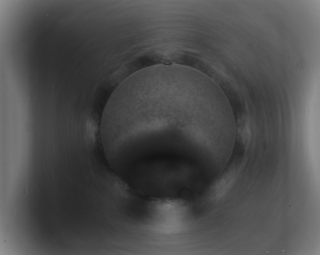 X0000101670235200807171342