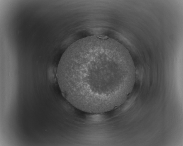 X0000101670237200807171342