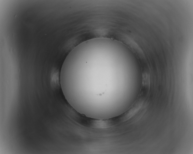 X0000101670238200807171342