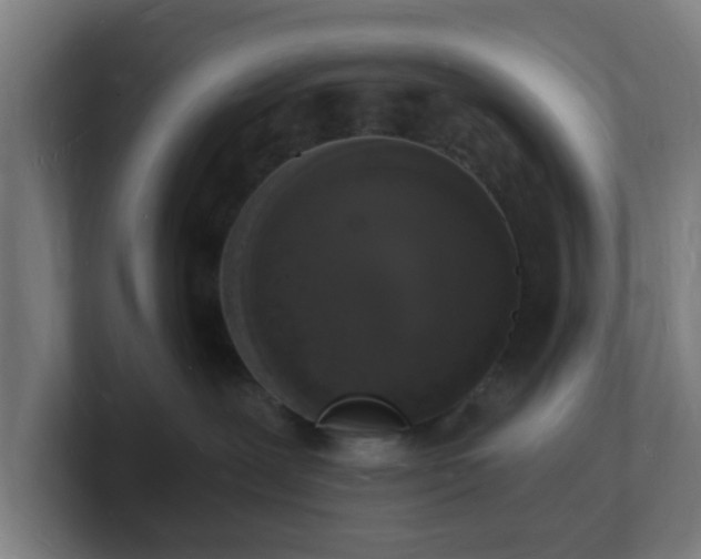 X0000101670239200807171342
