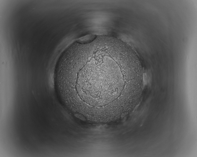 X0000101670243200807171342