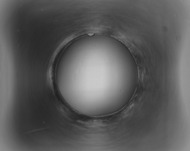 X0000101670244200807171342