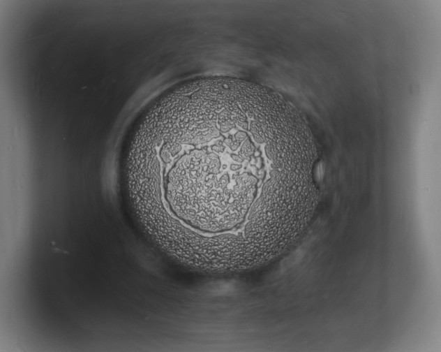 X0000101670247200807171342