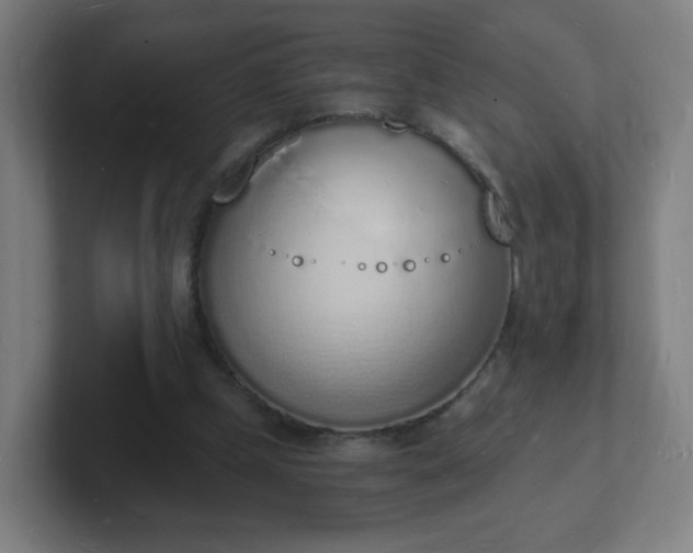 X0000101670249200807171342