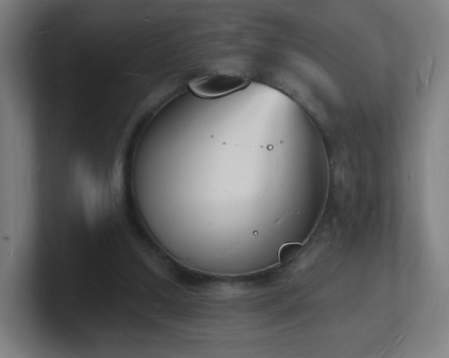 X0000101670250200807171342
