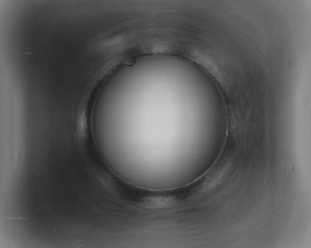 X0000101670251200807171342