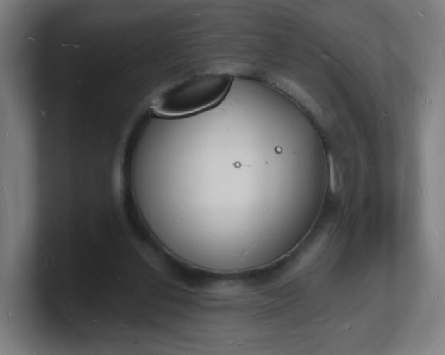 X0000101670252200807171342