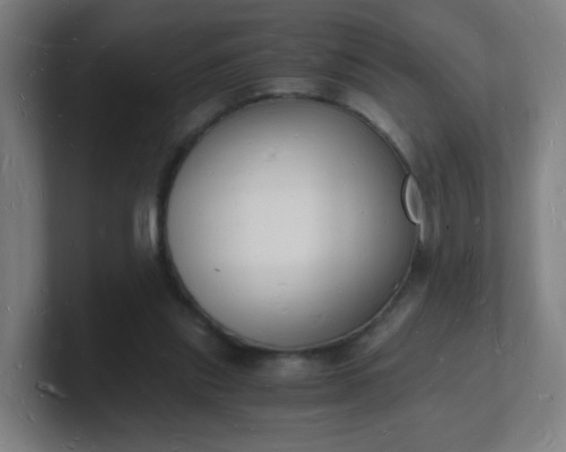 X0000101670253200807171342