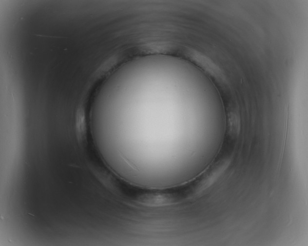 X0000101670254200807171342