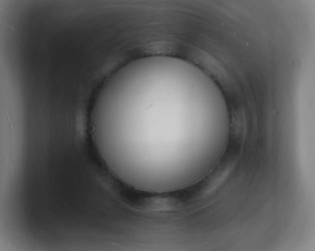 X0000101670255200807171342