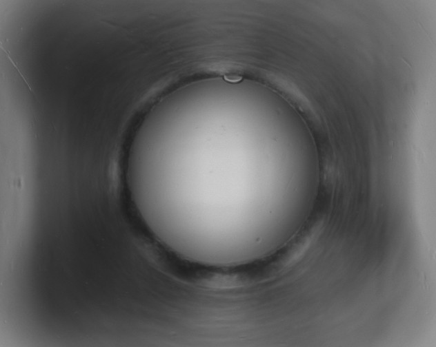 X0000101670256200807171342
