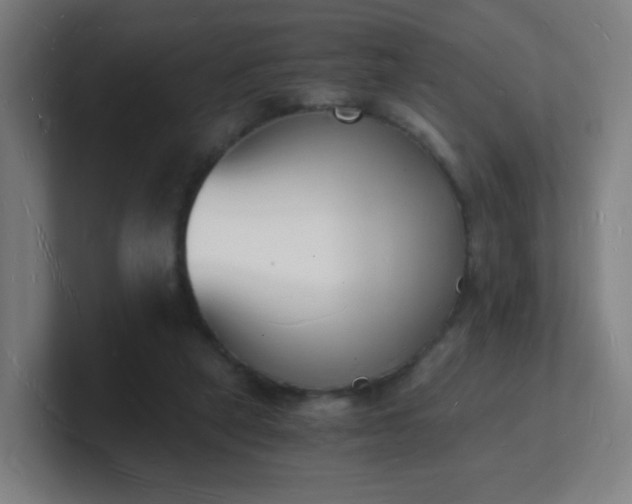 X0000101670257200807171342