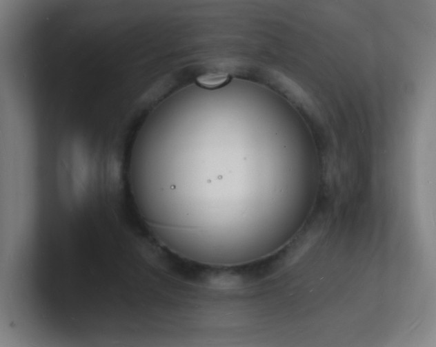 X0000101670258200807171342