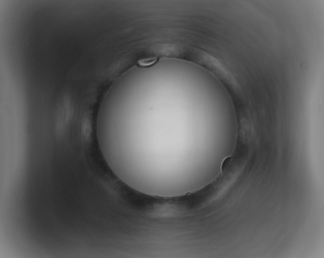 X0000101670259200807171342