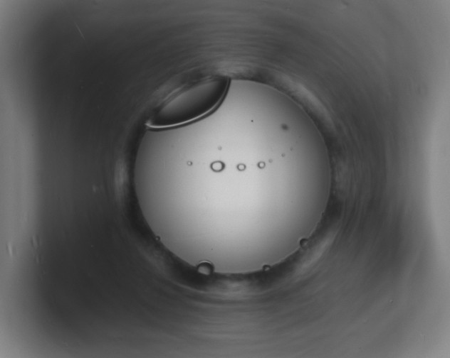 X0000101670260200807171342