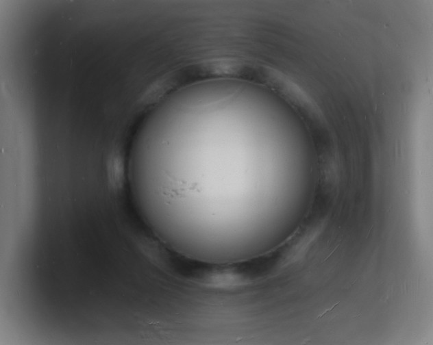 X0000101670262200807171342