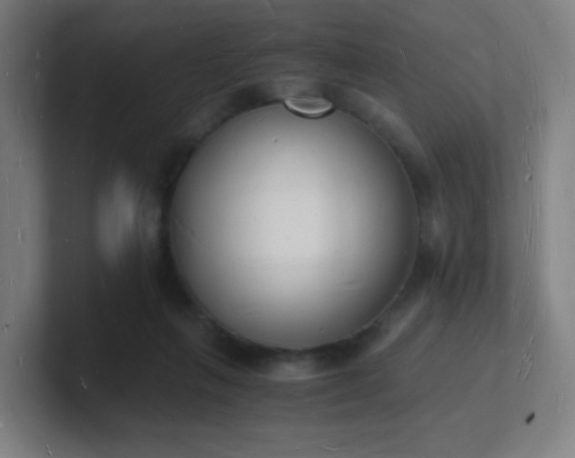 X0000101670263200807171342