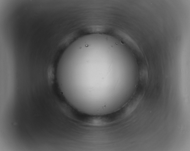 X0000101670264200807171342