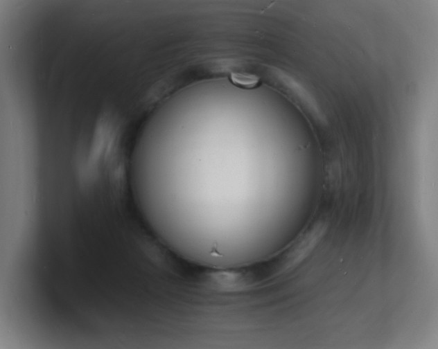 X0000101670265200807171342