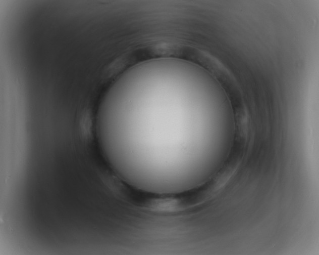 X0000101670266200807171342