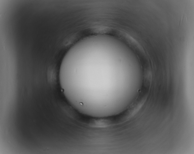 X0000101670268200807171342