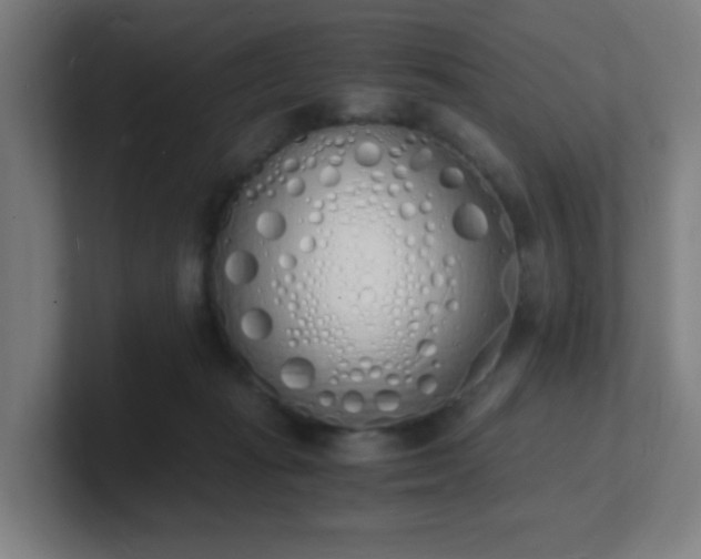 X0000101670269200807171342