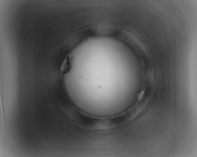X0000101670271200807171342