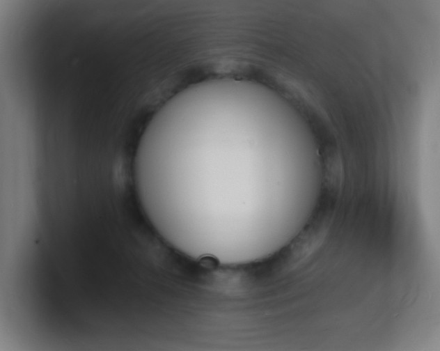 X0000101670272200807171342