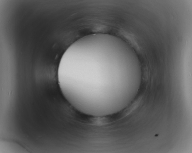 X0000101670273200807171342