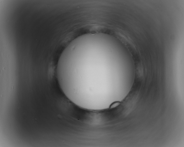 X0000101670276200807171342