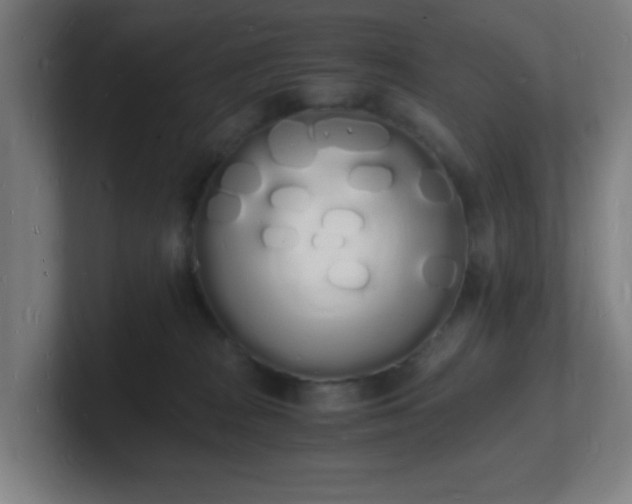 X0000101670277200807171342