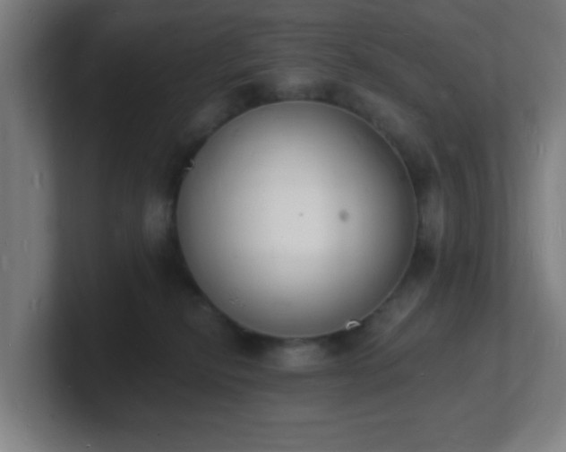 X0000101670278200807171342