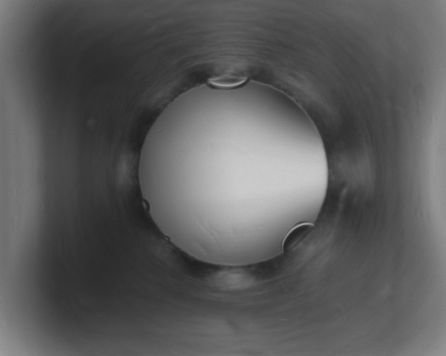 X0000101670280200807171342