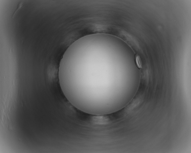 X0000101670281200807171342