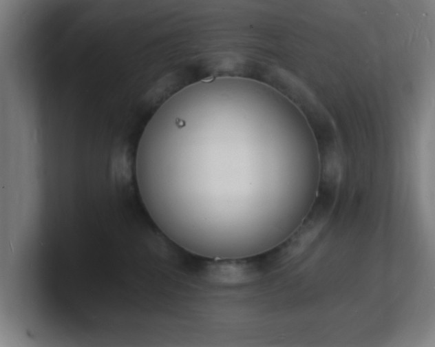 X0000101670282200807171342