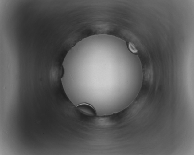 X0000101670283200807171342