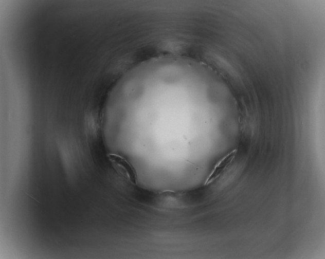 X0000101670285200807171342