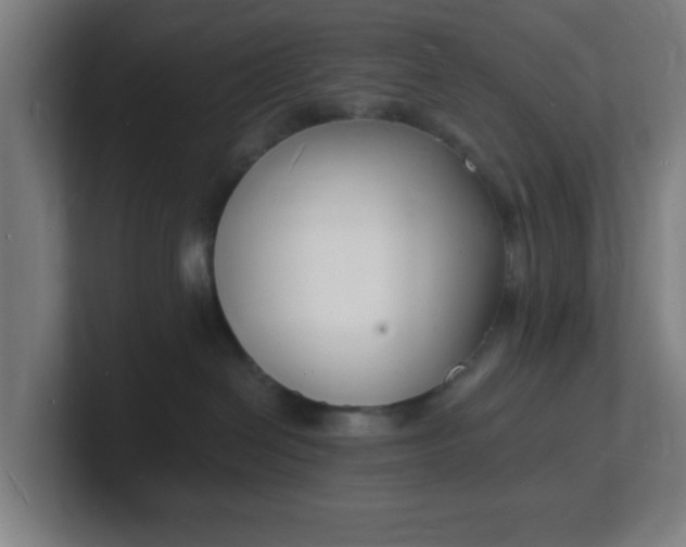 X0000101670286200807171342