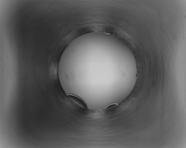 X0000101670288200807171342