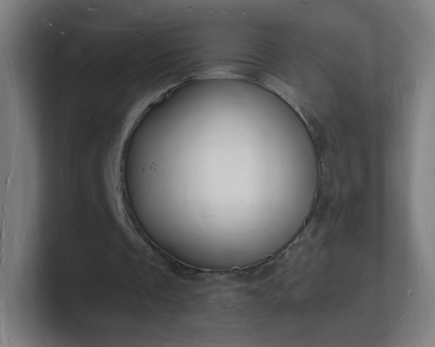 X0000101670289200807171342