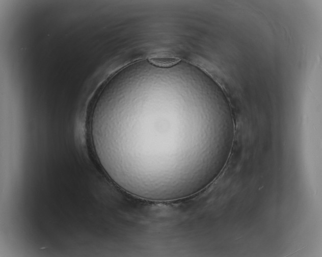 X0000101670290200807171342