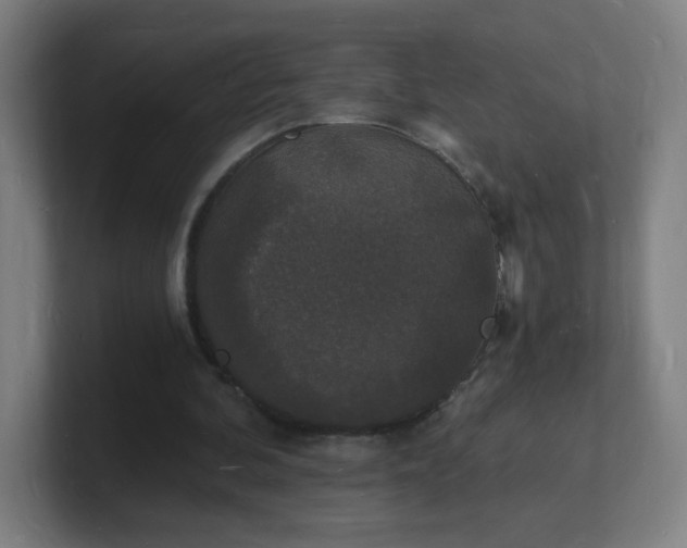 X0000101670292200807171342