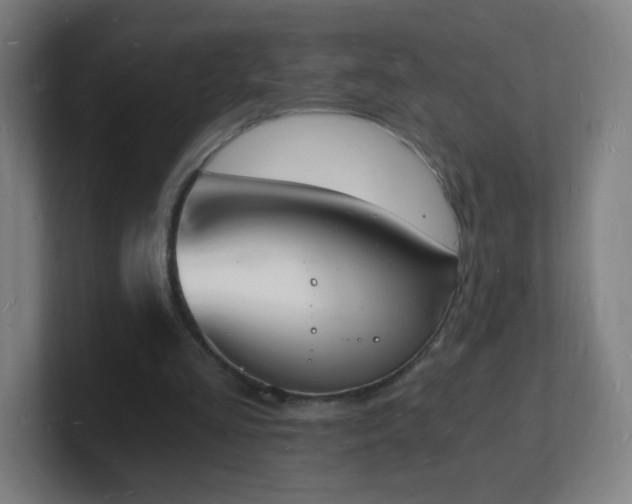 X0000101670293200807171342