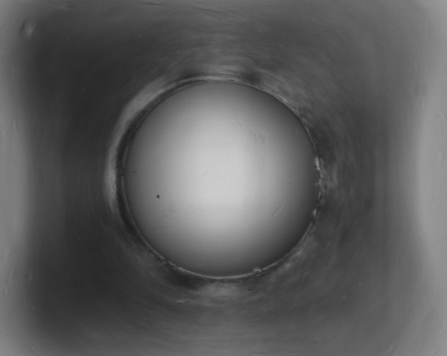 X0000101670294200807171342