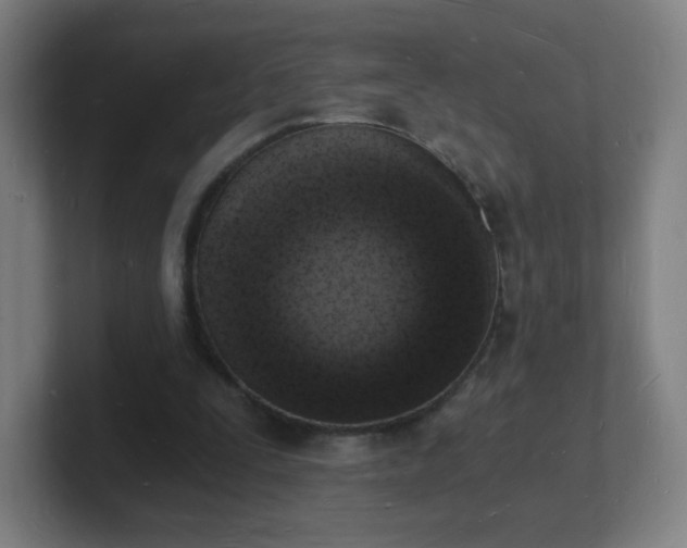 X0000101670295200807171342